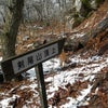 剣尾山～横尾山ハイキング④－剣尾山山頂！そして吹雪・・・の画像