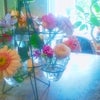 テーブルの花の画像