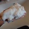 [リアン　フルール]エッセンス　クッション　ホイップの画像