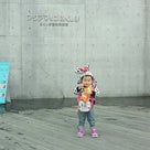 30日の記事より