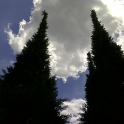 画像 消費税改定に伴い。。。 の記事より 2つ目