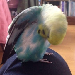 投稿 写真