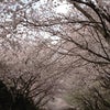 「４月の始まりー！」 by MOCKYの画像