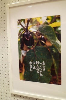 和歌の浦日和徳田直季先生写真展～「素直な季持ち」