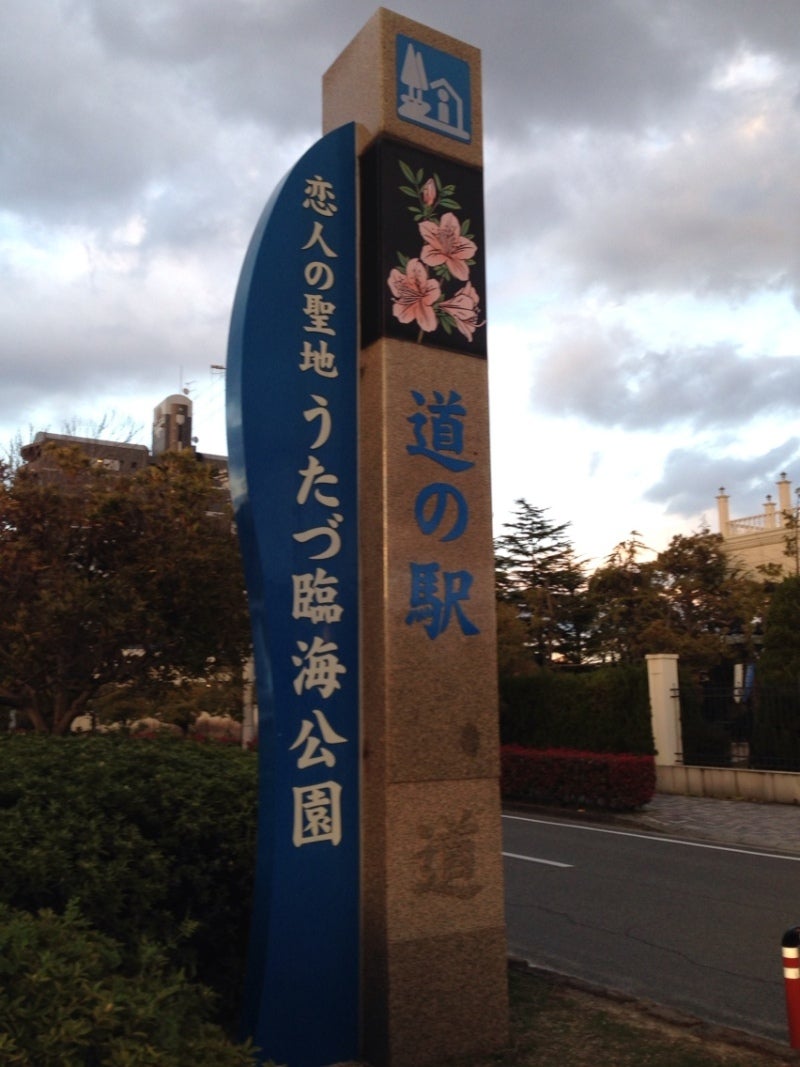 投稿写真