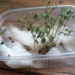 {AF058944-E992-44C6-91F7-2A48574E6320:01}