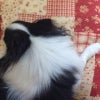 ほっこりーな(*^^*)の画像