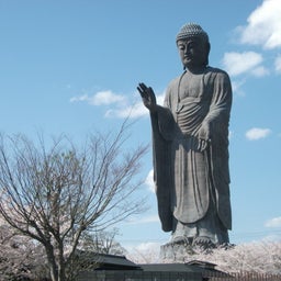 画像 牛久大仏とサクラ の記事より 7つ目