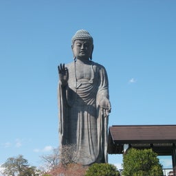 画像 牛久大仏とサクラ の記事より 5つ目