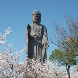画像 牛久大仏とサクラ の記事より 1つ目