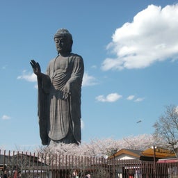 画像 牛久大仏とサクラ の記事より 6つ目
