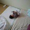 手掴み食べの画像