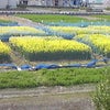 「念のため」の画像