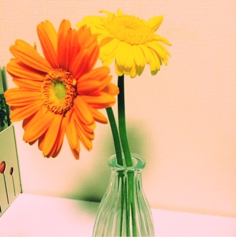 お花と一緒に暮らす＊の記事画像