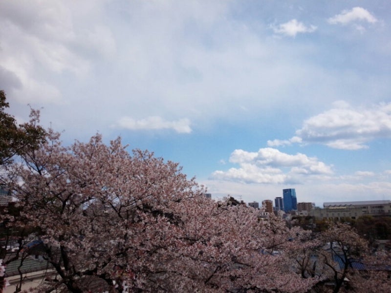投稿写真