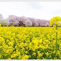 ブログ投稿画像