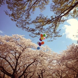 photo:09