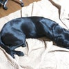 命日の晩のことの画像