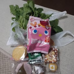 画像 運のいい子は良いんだよねぇ～！！ の記事より