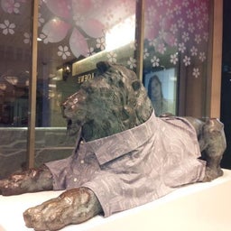 画像 ラララらーいおん の記事より 4つ目