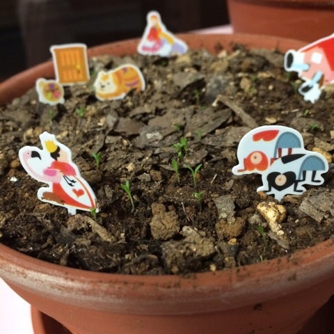 芽が出たよの記事画像