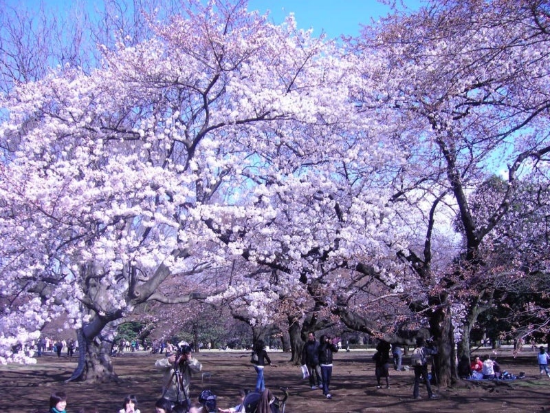 投稿写真