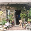 dog cafe ぱんでぶーびの画像