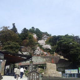画像 サクラの季節♪ TT の記事より 3つ目
