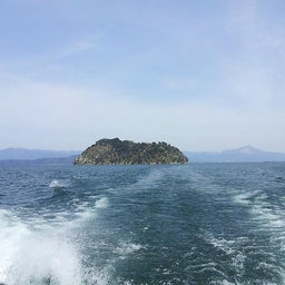 画像 サクラの季節♪ TT の記事より 9つ目