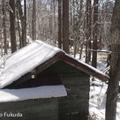 【八ヶ岳高原別荘便り・八美里ファーム】AQUAは４月に入ってもスッタドレス。今年の雪はすごい！の記事より
