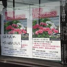 龍華寺 : １００％ 横浜 (よこはま) ものがたり【YOKOHAMA Story】の記事より