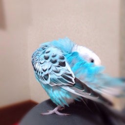 {F0E156F0-B05B-4417-BA3A-8547BC22F9EF:01}