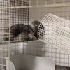 警戒態勢！の画像
