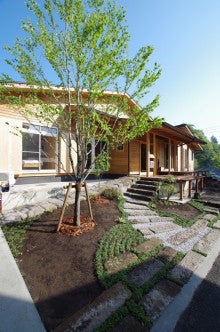 外構工事 庭木に樅の木の樹皮を 家を建て直す 第52回 新築 建替え 健康な家造りを内装から考えてみよう モトカツのブログ 仮
