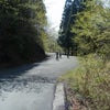 林道サイクリング行ってきましたの画像