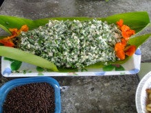 春を楽しく食べる その 野草料理 沖縄 野の花賛花のブログ