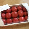 Yファーム様より>^_^<トマト♪の画像