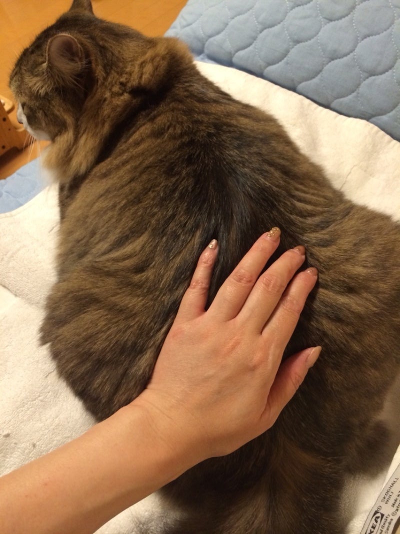 投稿写真