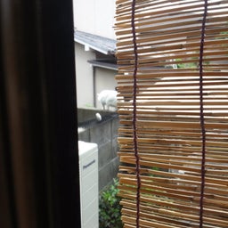 ねこよけ２
