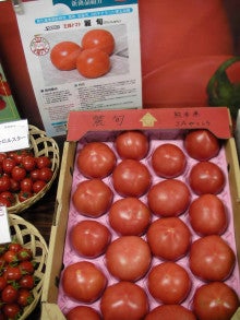 人気提案 トマト 麗旬 100粒 サカタのタネ