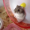 ！？の画像