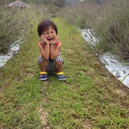 photo:03