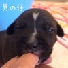 目が開いてきた♬の画像