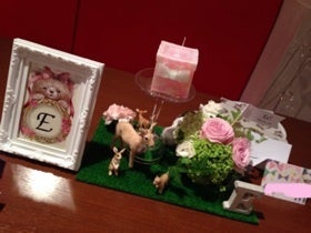 photo:02