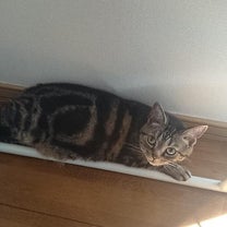 ブログ投稿画像