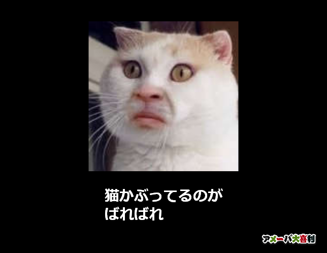 猫かぶってるのが
ばればれ
