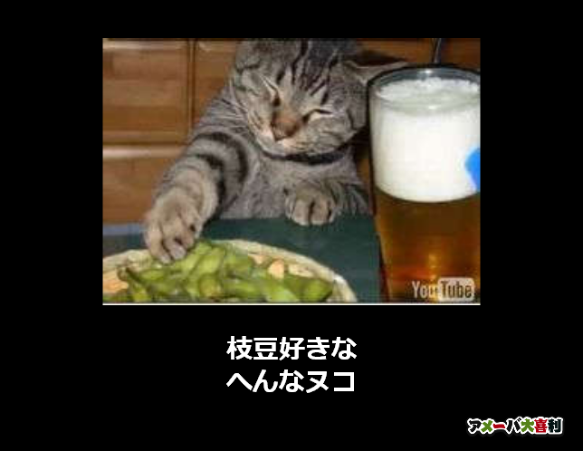 枝豆好きな
へんなヌコ