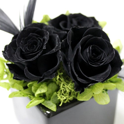 黒い薔薇の花言葉と意味 プレゼントするときの注意点とは