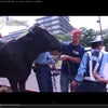 2014/06/20 「6 20 原発一揆」希望の牧場・ふくしま代表・吉沢正巳氏による抗議行動…の画像