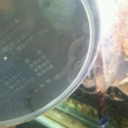 140621_082054.jpg